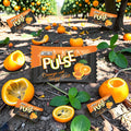 Desipan Pass Pass Pulse Orange Candy with a tangy orange flavor and a zesty twist, individually wrapped.